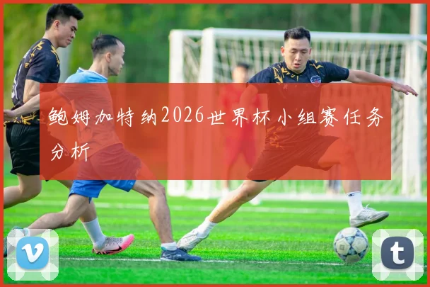 鲍姆加特纳2026世界杯小组赛任务分析
