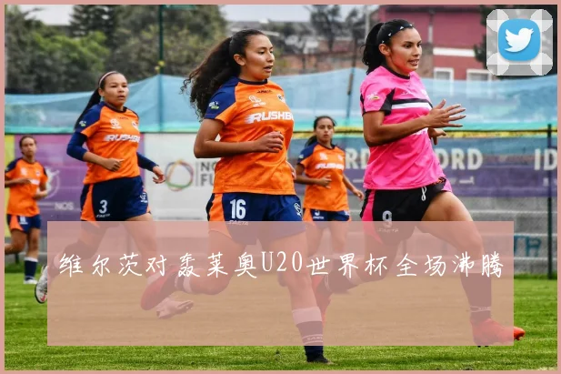 维尔茨对轰莱奥U20世界杯全场沸腾