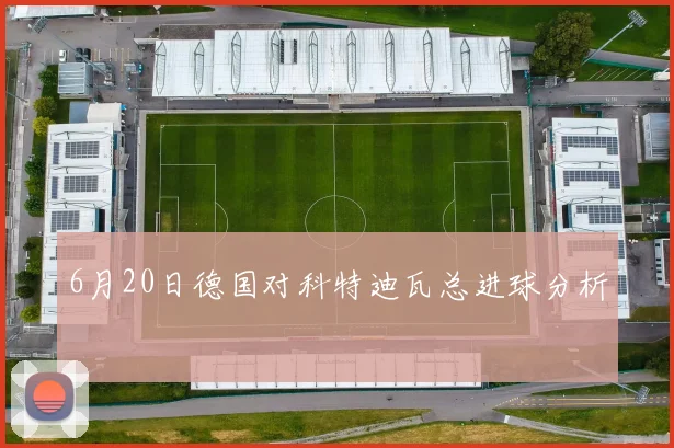 6月20日德国对科特迪瓦总进球分析