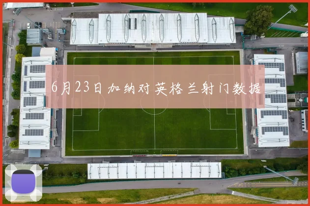 6月23日加纳对英格兰射门数据