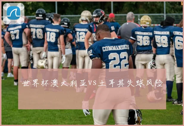 世界杯澳大利亚vs土耳其失球风险